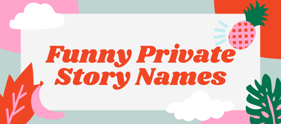 funny private story name for snapchat
