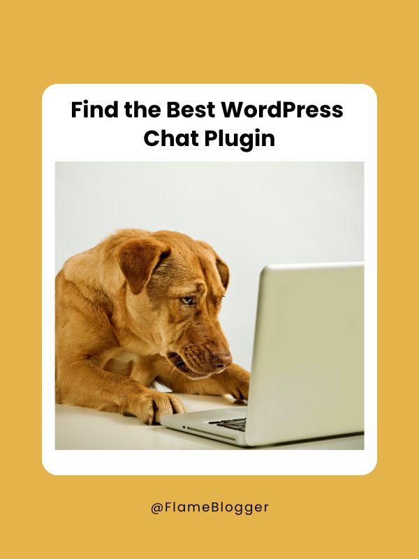 best wordpress chat plugin